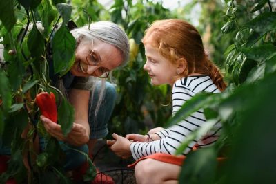 Managing Retirement Depression: Overcoming the Retirement Blues