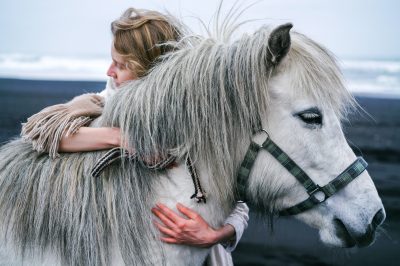 Enhancing Your Bond with Horses through Recognizing Human Emotions