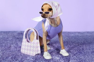 Meet Your New Beloved Fashion Influencers: They’re Dogs!