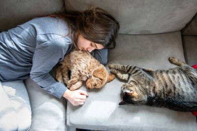 9 Heartwarming Signs Your Cat Loves You Unconditionally